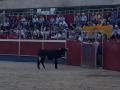 2022_fiestas_merced-209