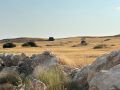 2025-peregrinacion-gregoriana-49