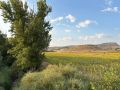 2025-peregrinacion-gregoriana-64