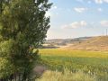 2025-peregrinacion-gregoriana-66
