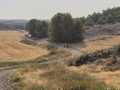2025-peregrinacion-gregoriana-78