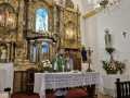 2025-peregrinacion-gregoriana-79