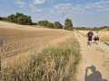2025-peregrinacion-gregoriana-80
