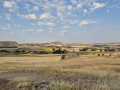 2025-peregrinacion-gregoriana-90