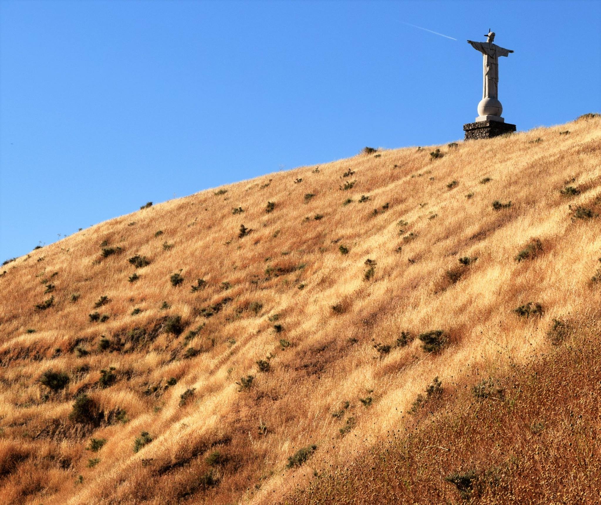 13528438_1194202803973022_1961440511806191173_o