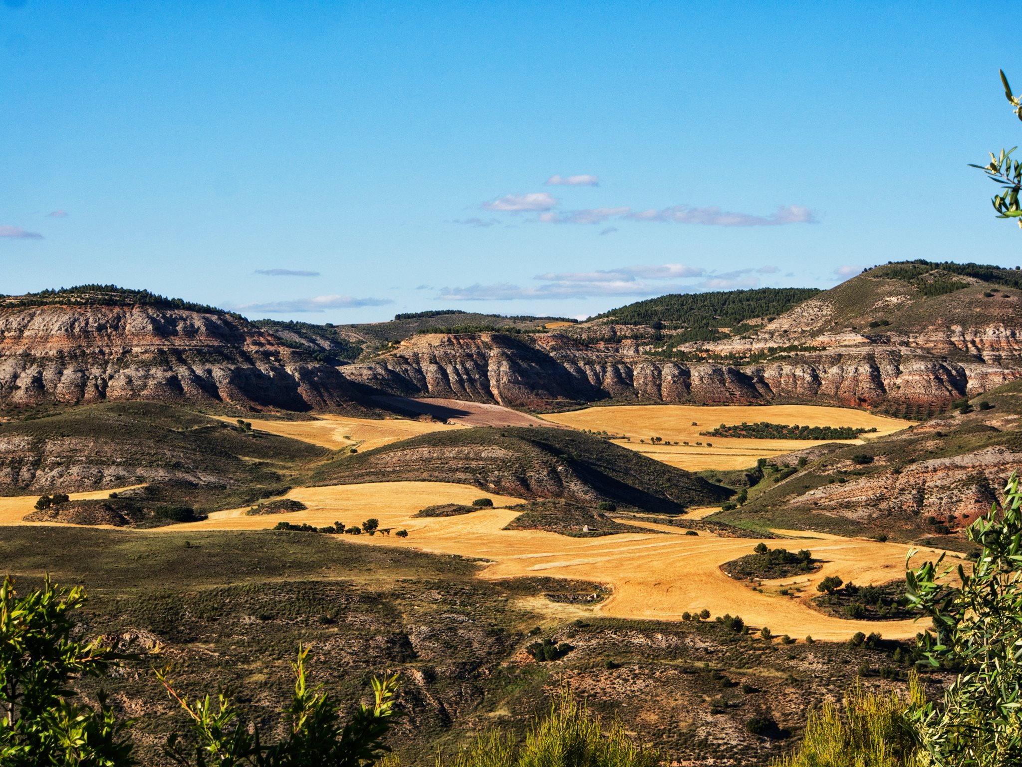 13528535_1194191017307534_3642618471628293767_o