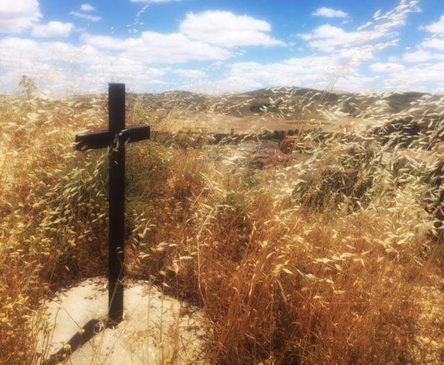 13537599_1194200033973299_5864031067632996763_n