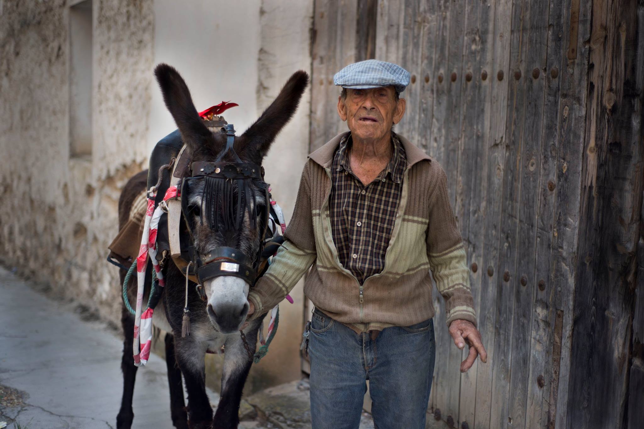 13558742_1194203027306333_7638721825617857907_o