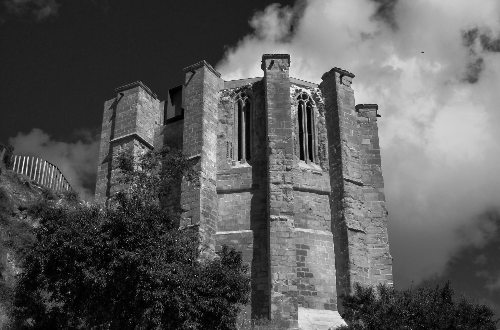 13558867_1194199687306667_722337393995066724_o