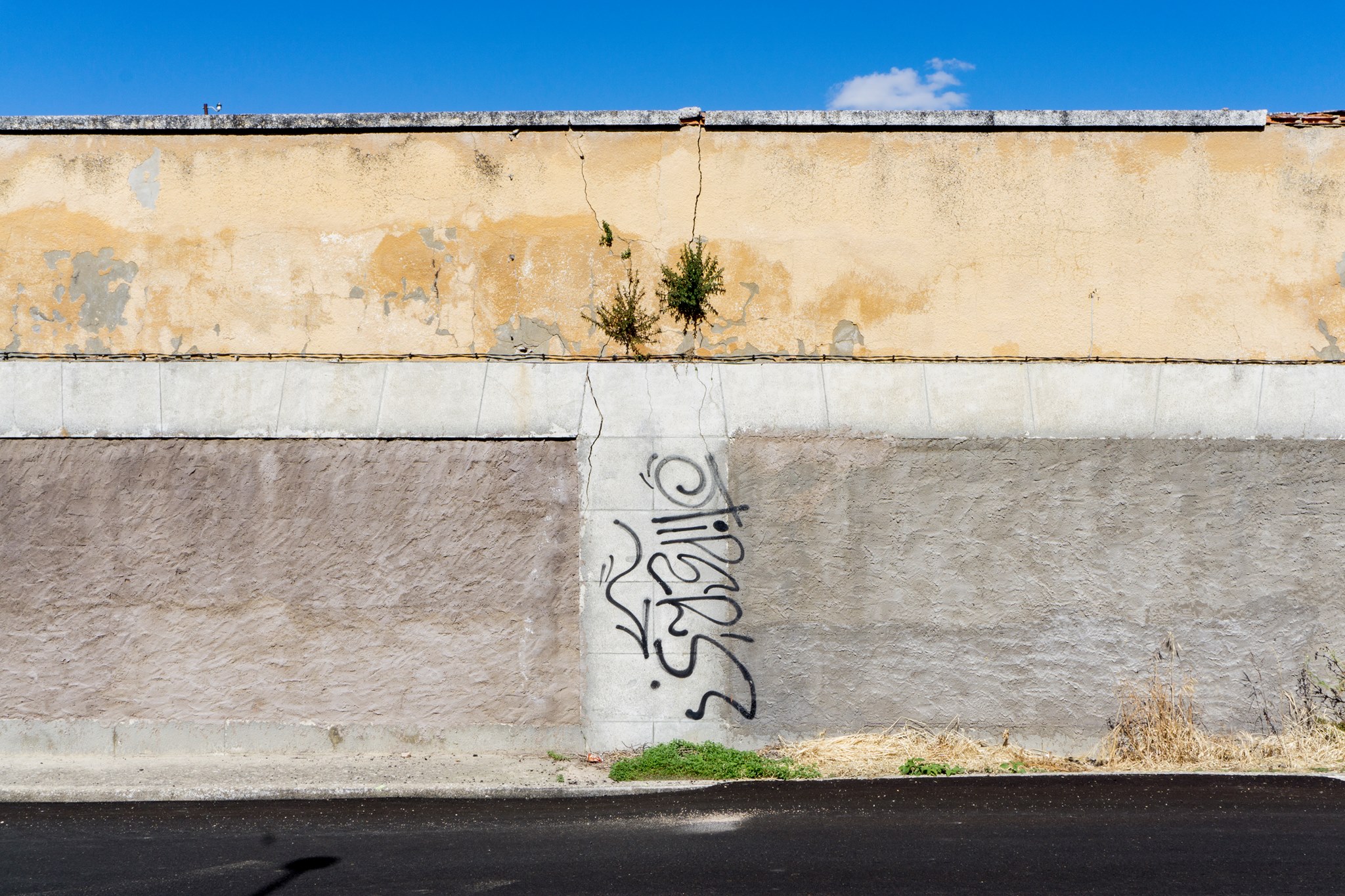 13568819_1194197783973524_5824572940593039632_o