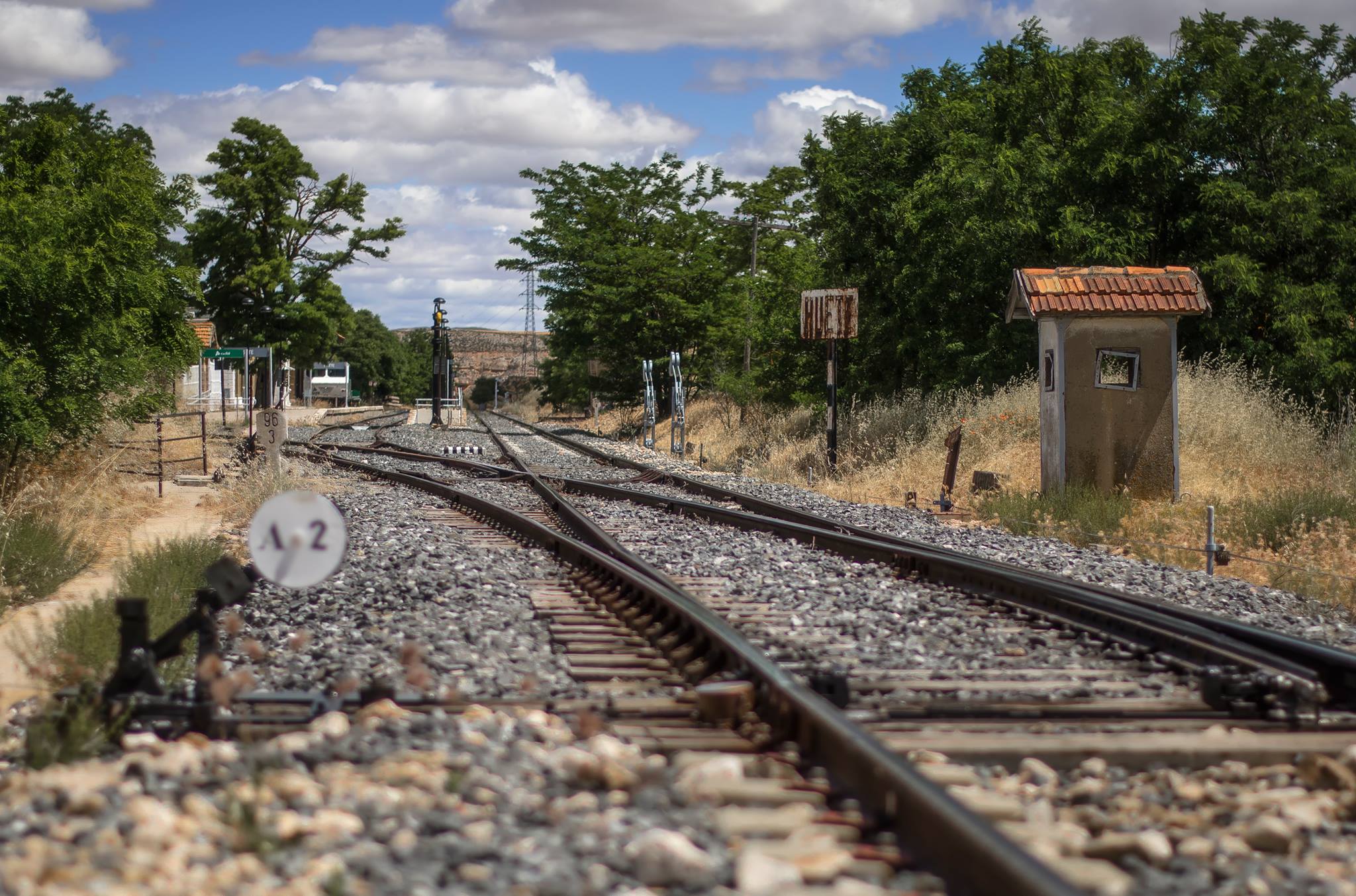 13575744_1194203770639592_353669687737346920_o