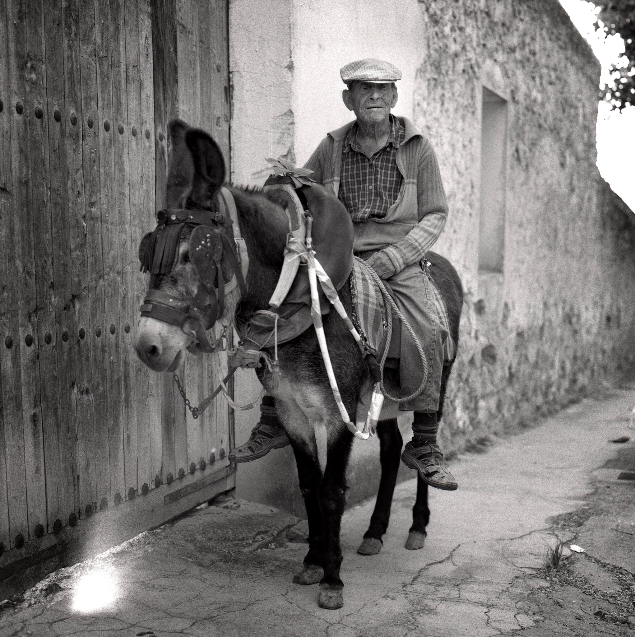 13580414_1194195470640422_8823511780119732391_o