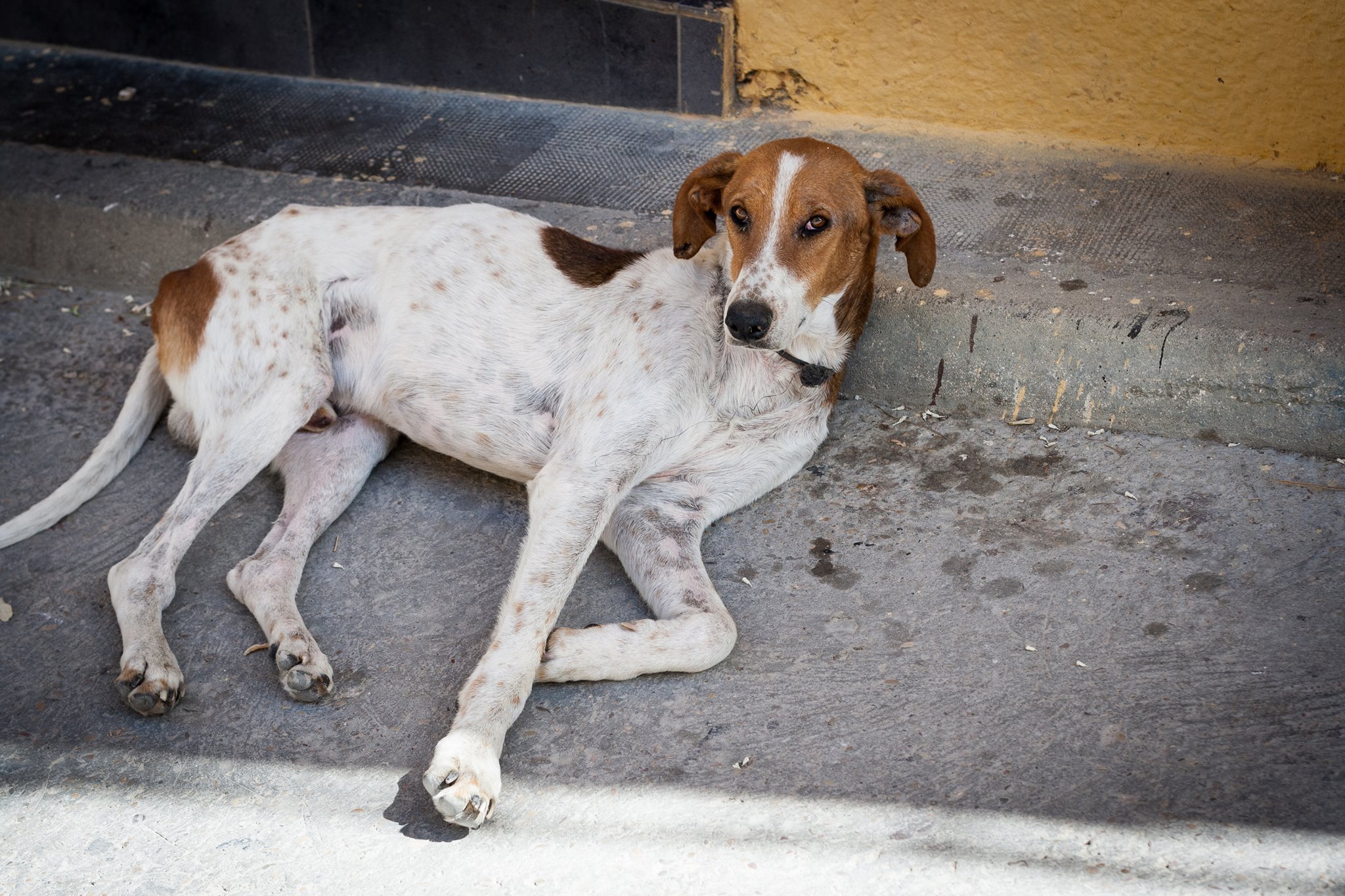 13582029_1194203460639623_1073087127591699188_o