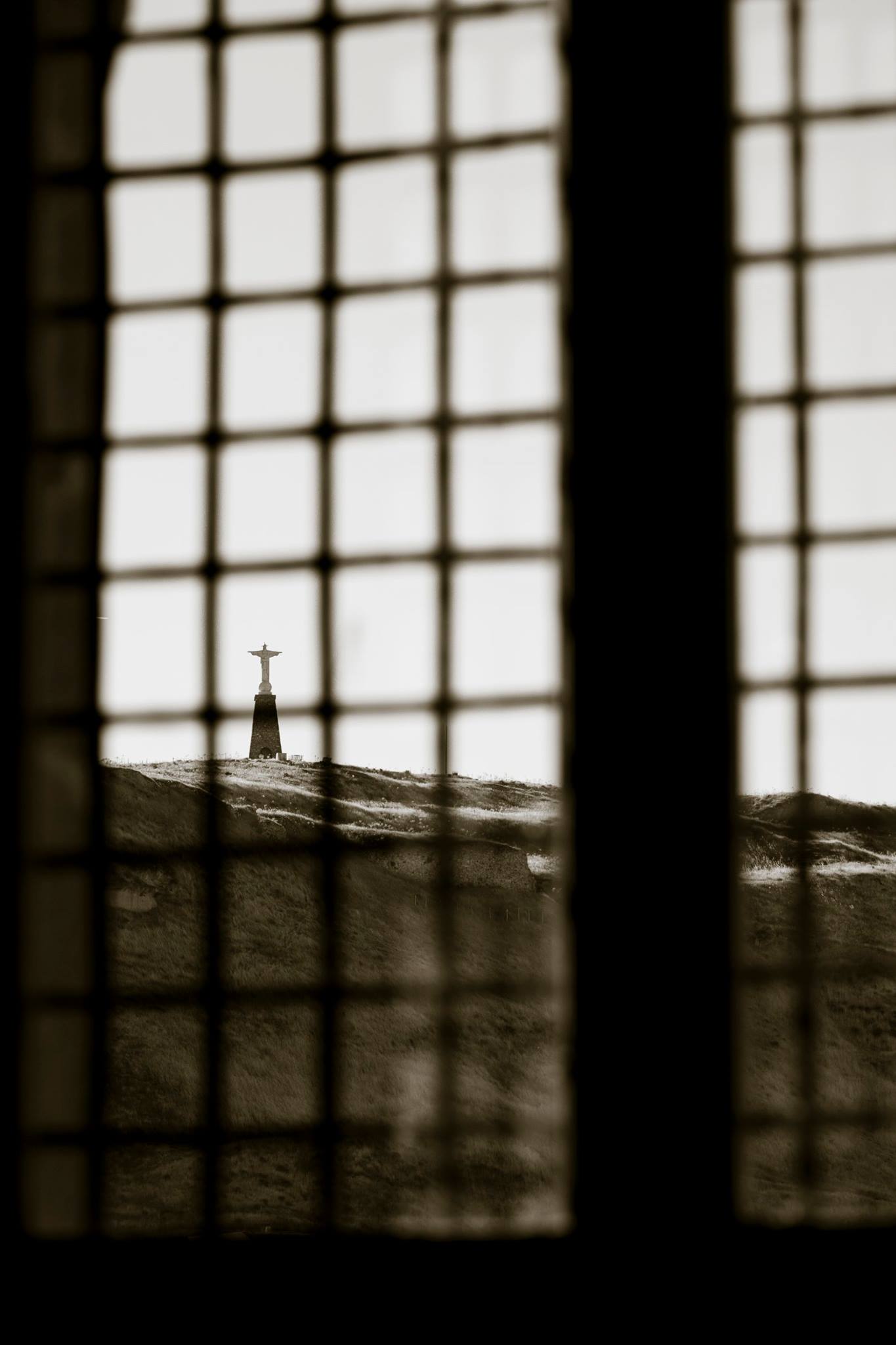 13584932_1194196717306964_3868198529979122190_o