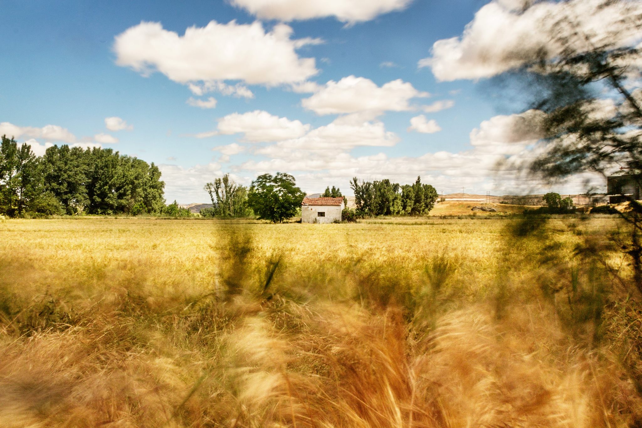 13585174_1194191660640803_8081782005484440491_o