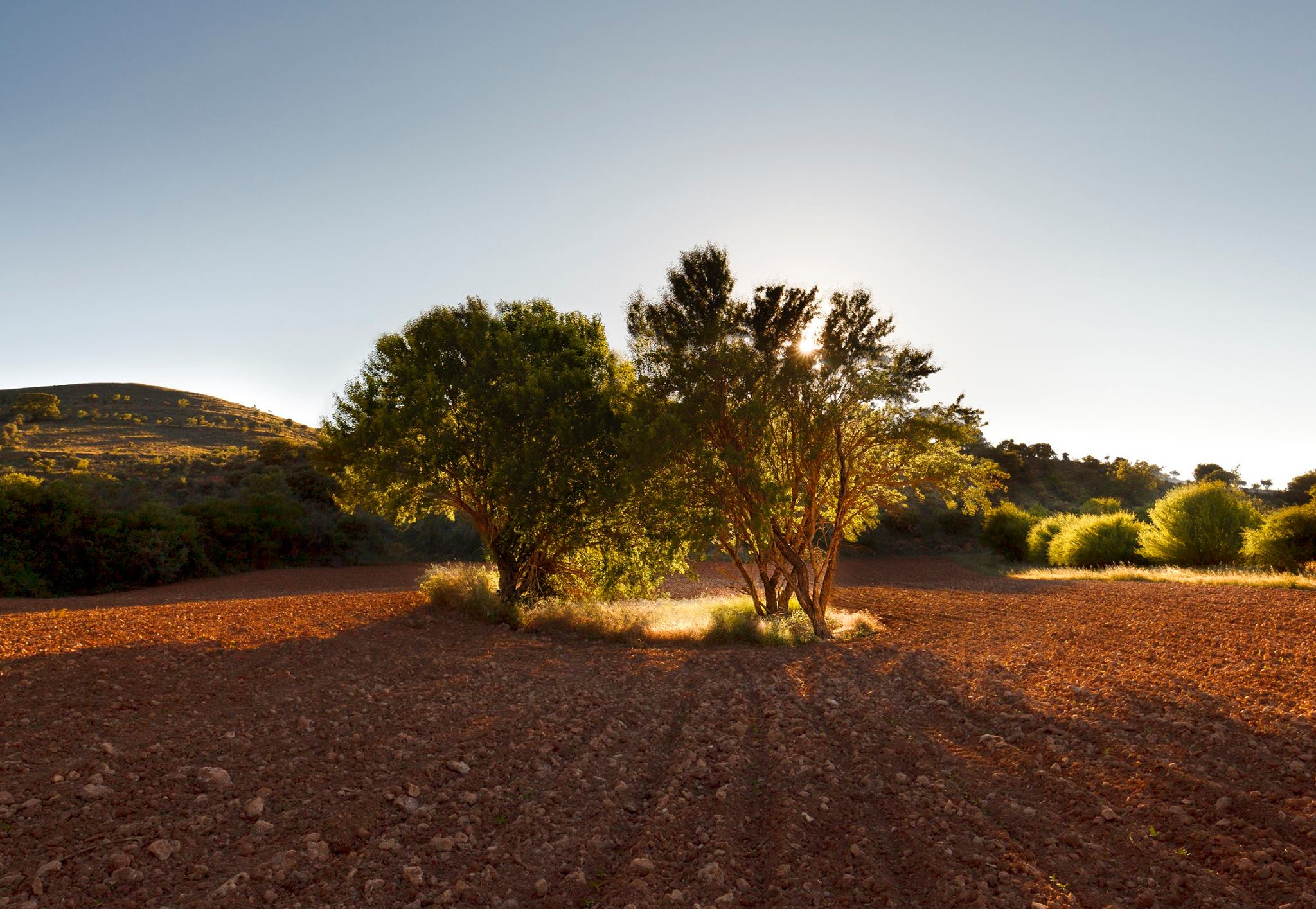 13603622_1194191437307492_197887689488276766_o