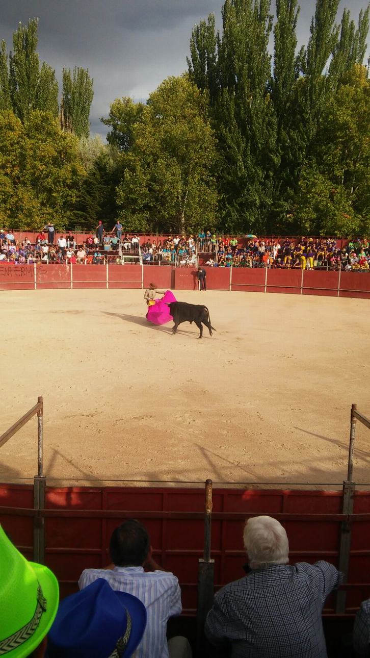 L Espectáculo taurino