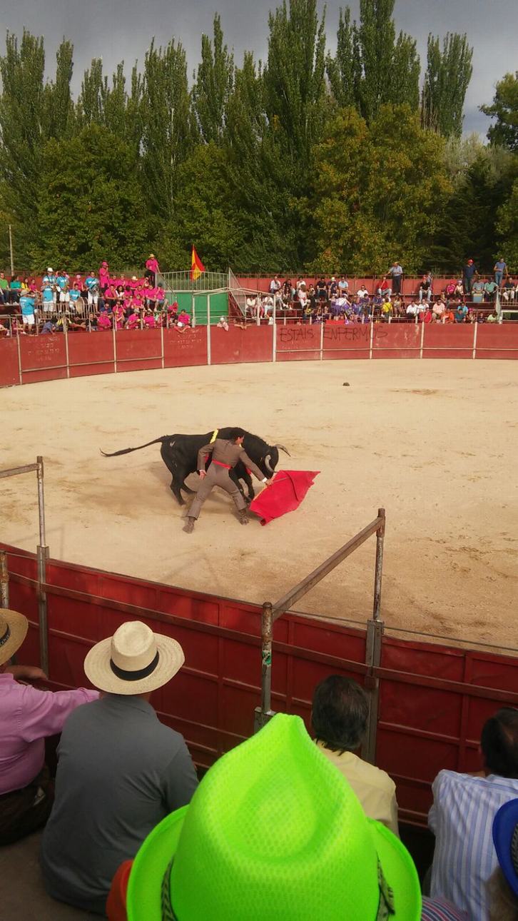 L Espectáculo taurino