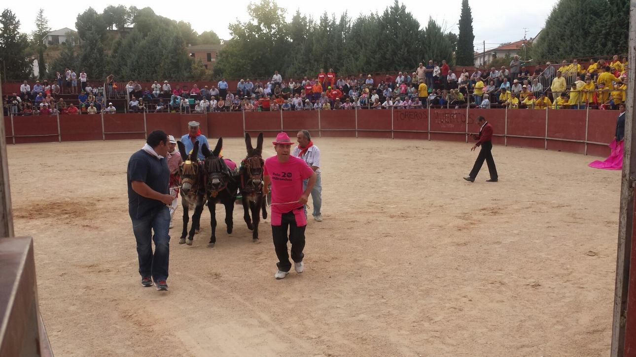 L Espectáculo taurino