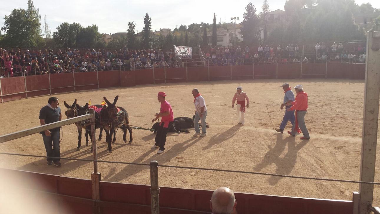 L Espectáculo taurino