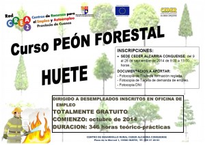 2014forestal