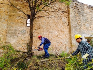 Trabajos de eliminación de vegetación por el presidente de la Diputación.