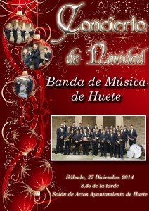 2014conciertobanda