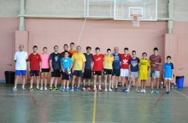 badminton1
