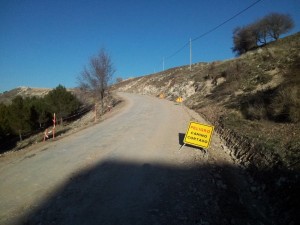 caminoverdel1