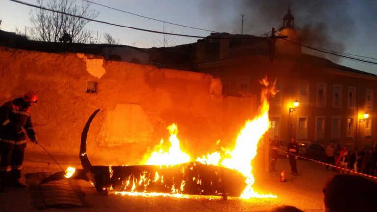 2019carnaval (1)