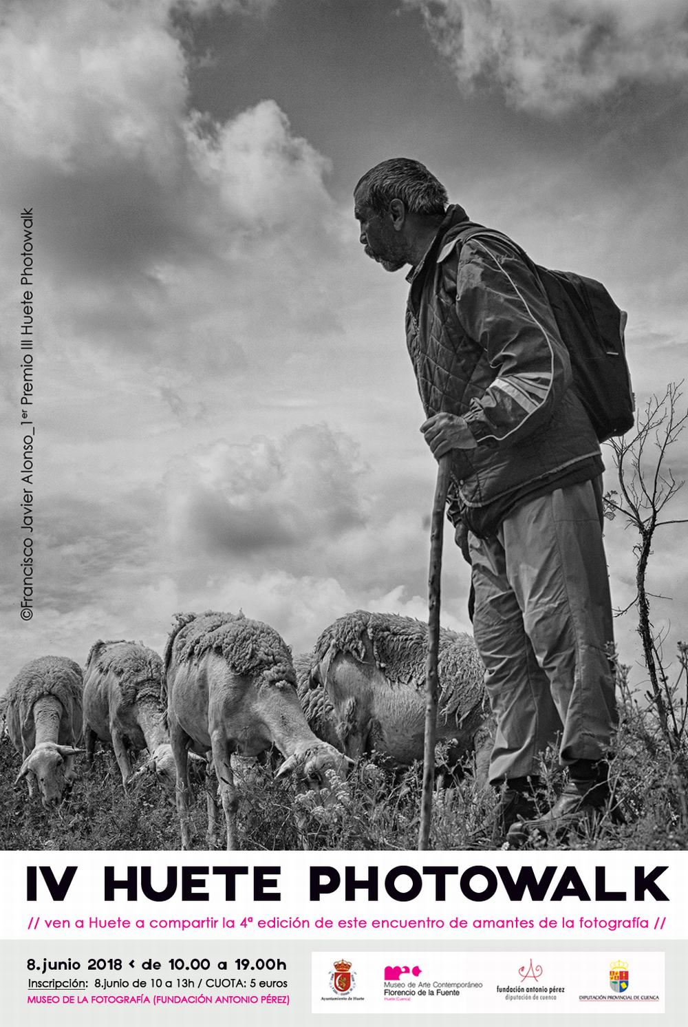 cartel_HUETEPHOTOWALK