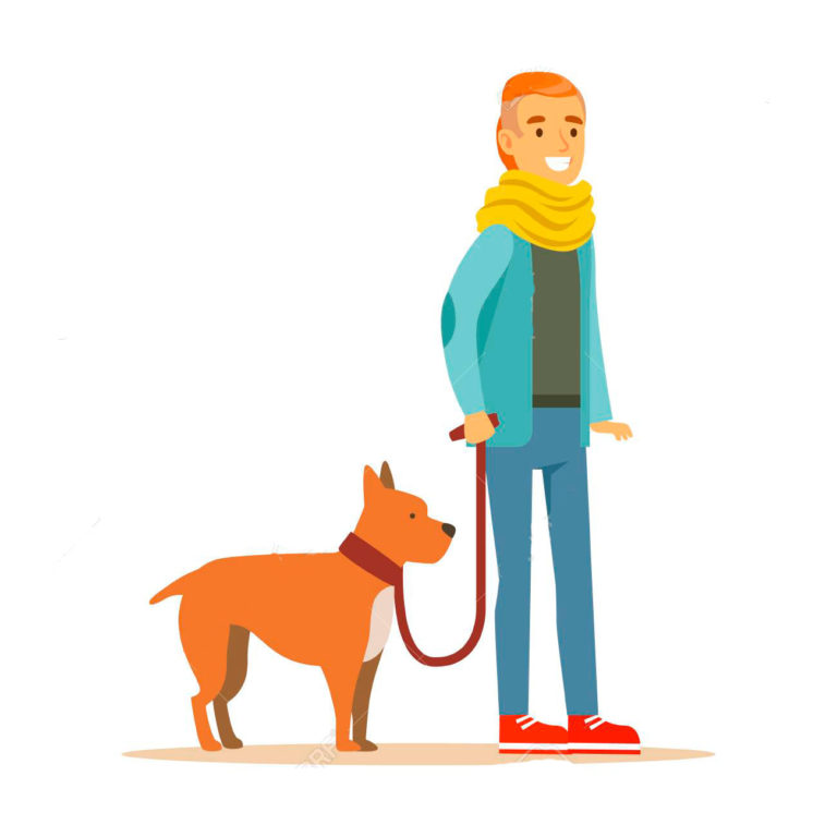 animales