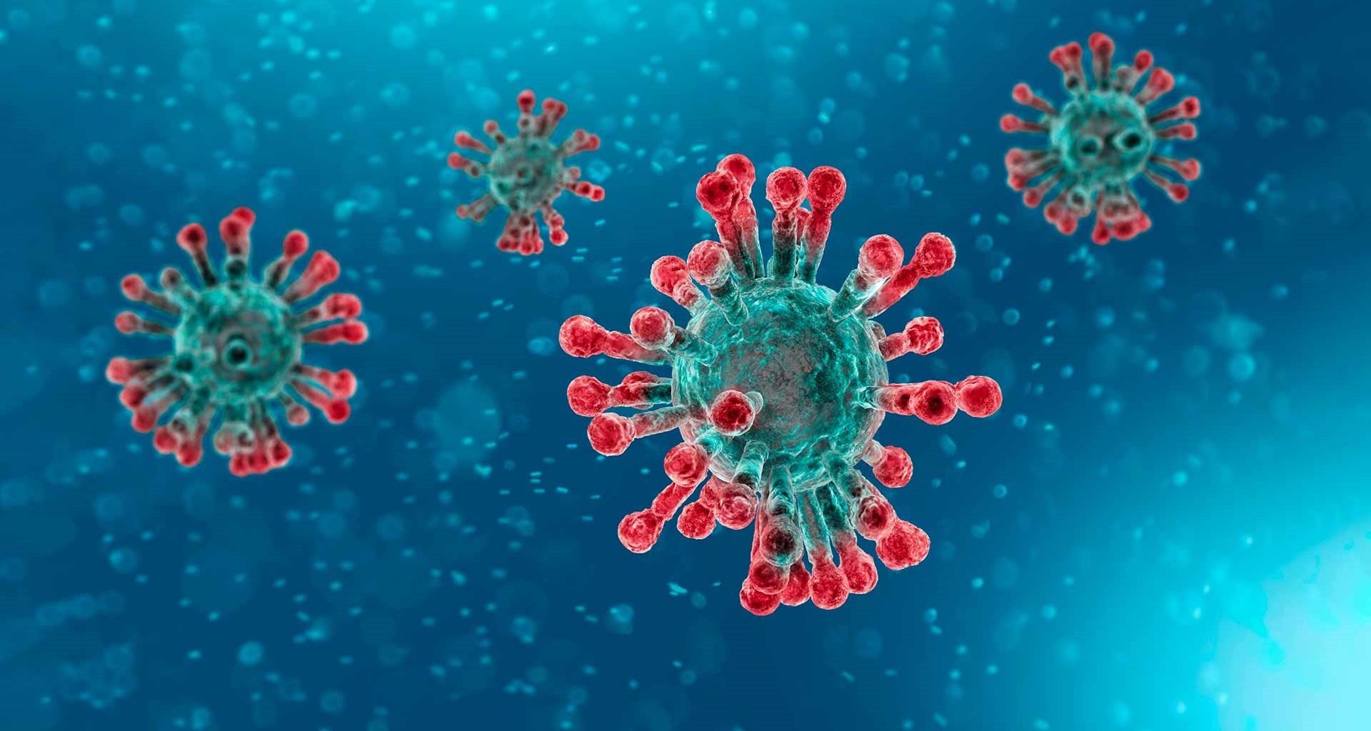 coranovirus