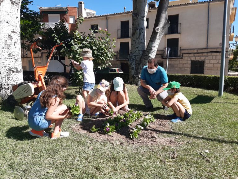 plantasflor (10)