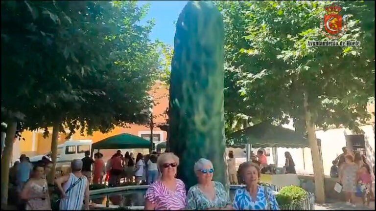 2023-dia-pepino