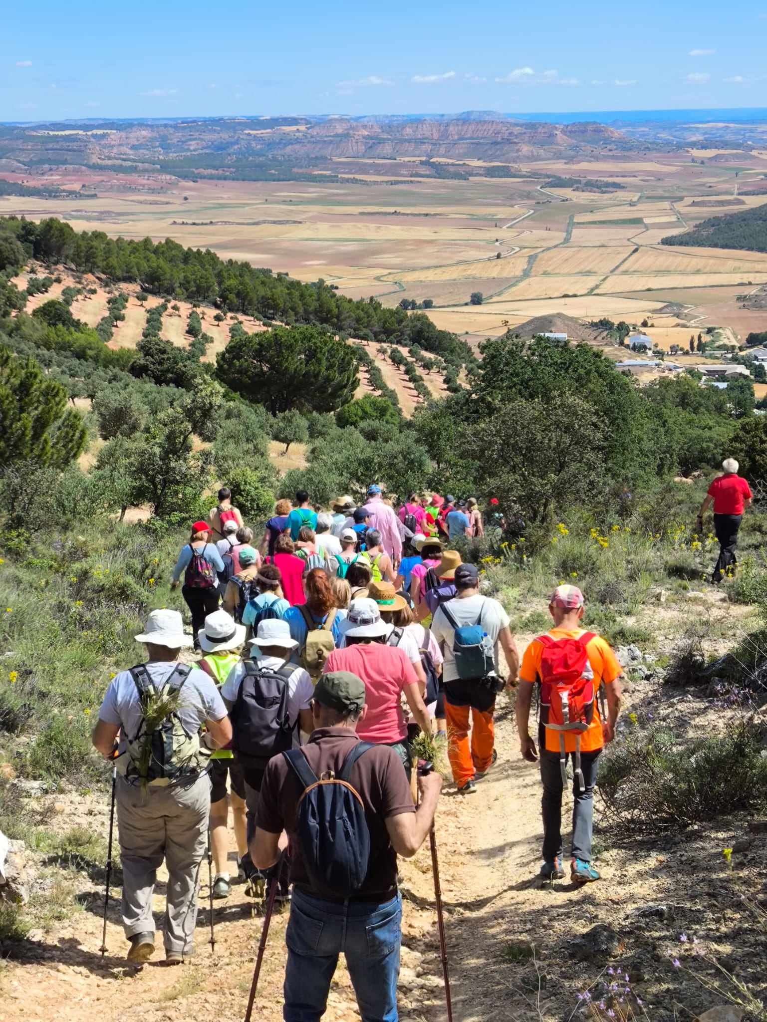 2024-ruta-rio-mayor-caracenilla (4)
