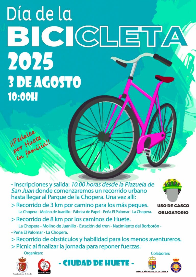 2025-dia-bici