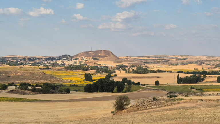 2025-panoramica